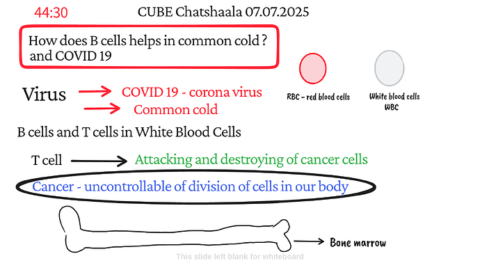 Presentation_CUBE chatShaala_2025-07-07T16_08_19.944Z
