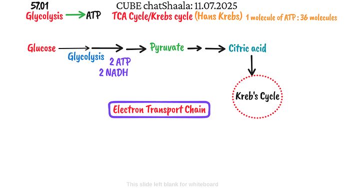 Presentation_CUBE chatShaala_2025-07-11T16_09_28.631Z