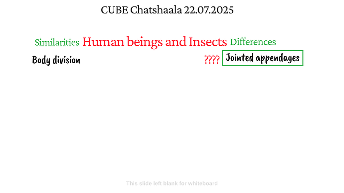 Presentation_CUBE chatShaala_2025-07-22T16_05_12.559Z