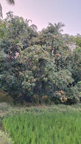 IMG-20250109-WA0128