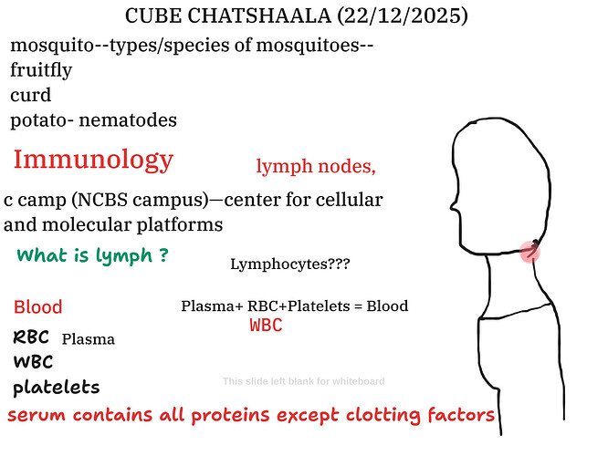 Presentation__2025-12-22T14_59_20.575Z