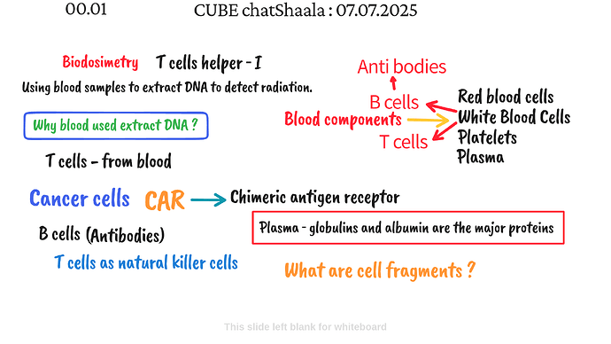 Presentation_CUBE chatShaala_2025-07-07T16_08_00.292Z