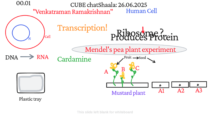 Presentation_CUBE chatShaala_2025-06-26T16_02_58.980Z