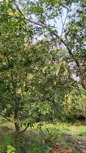 IMG-20250109-WA0127