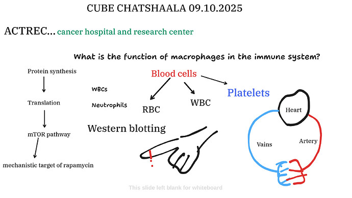 Presentation__2025-10-09T15_22_52.794Z