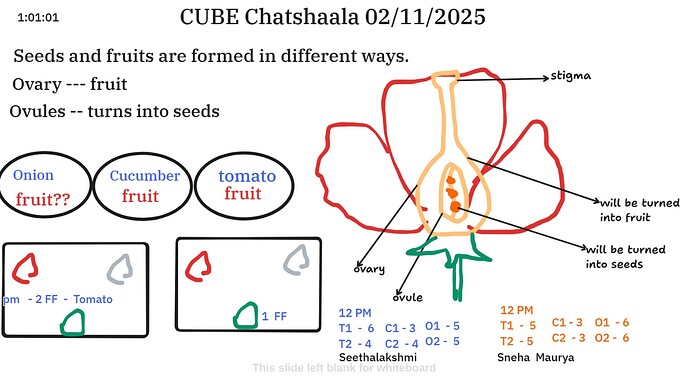 8838c4b5-de59-493b-a76f-e71d55f88b65