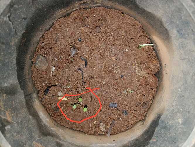 e39c10d4-f12f-4534-9cb2-033cce801f68