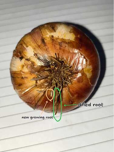 IMG-20260824-WA0018
