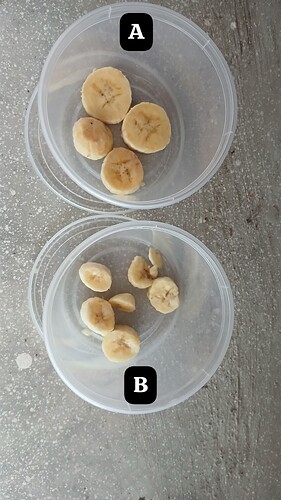 IMG-20250126-WA0084