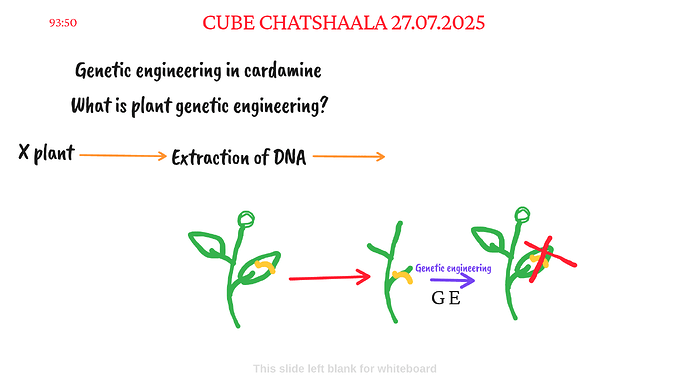 Presentation_CUBE chatShaala_2025-07-27T16_09_24.407Z