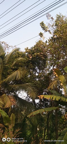 IMG-20250108-WA0066