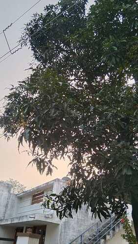 IMG-20250109-WA0119