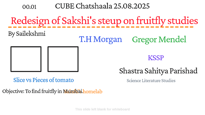Presentation_CUBE chatShaala_2025-08-25T16_05_10.322Z