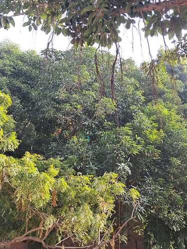 IMG-20250120-WA0031