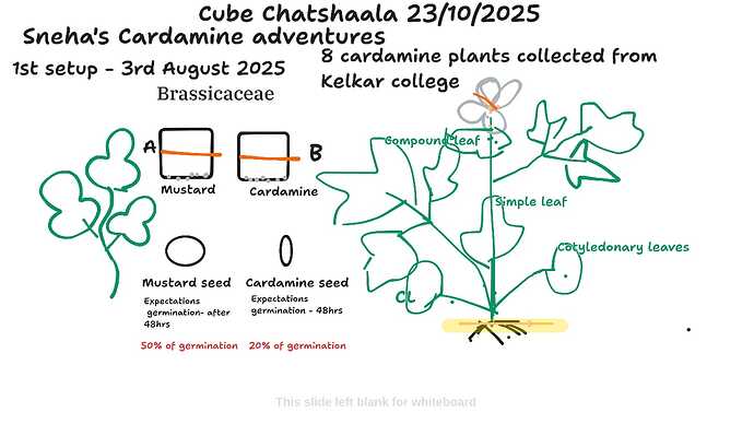 85227c8e-a72d-4169-9799-55195650b648