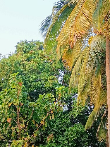 IMG-20250118-WA0034