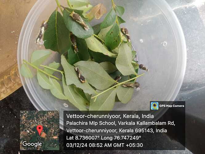 WhatsApp Image 2024-12-03 at 8.56.30 AM