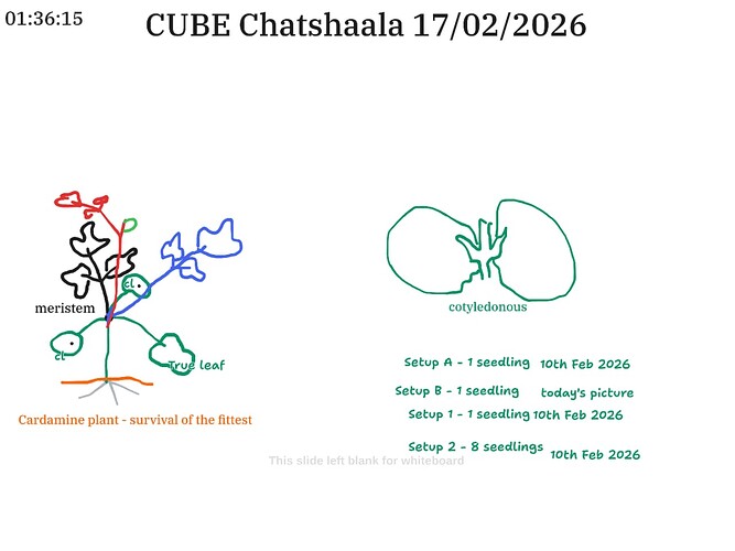 58ab995a-f16c-4f79-b764-53b3e5128f83