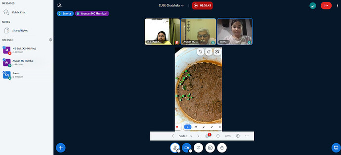 Screenshot 2026-03-11 213317