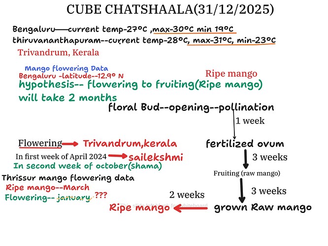 Presentation__2025-12-31T15_55_02.900Z