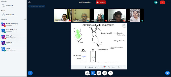 Screenshot 2026-02-19 213656