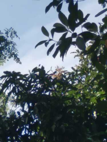 IMG-20250120-WA0024
