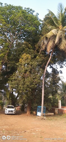 IMG-20250108-WA0075