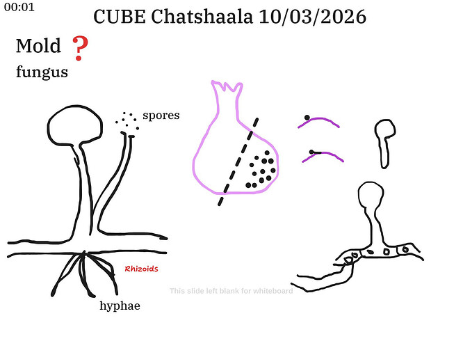 7d1e4eb7-898a-413c-84ea-037d66e6d146