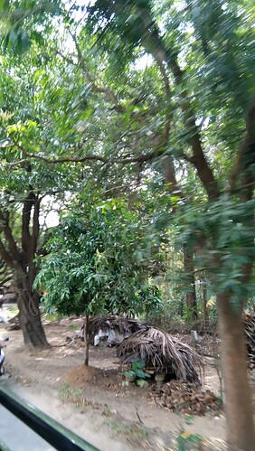 IMG-20250115-WA0077