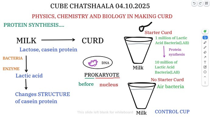 WhatsApp Image 2025-10-04 at 9.38.49 PM | PM