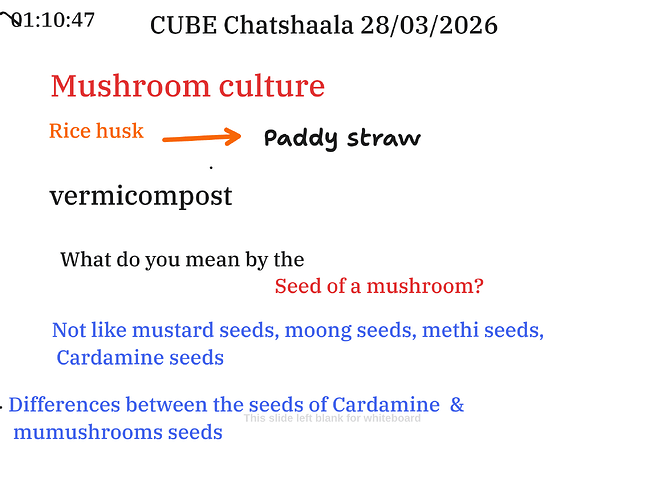 Presentation__2026-03-28T16_08_21.837Z