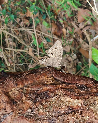 Picsart_26-03-08_18-06-38-882