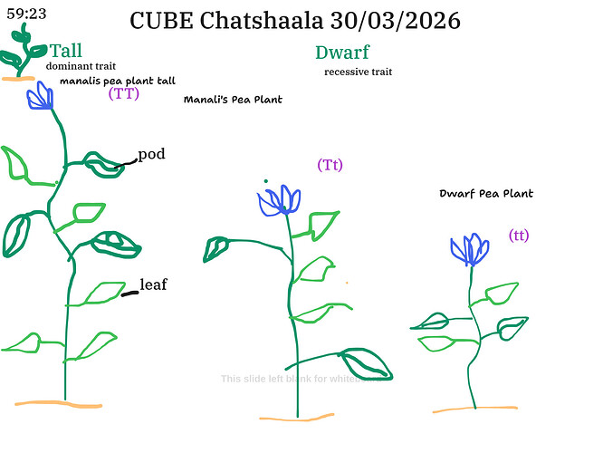 Presentation__2026-03-30T15_48_06.478Z