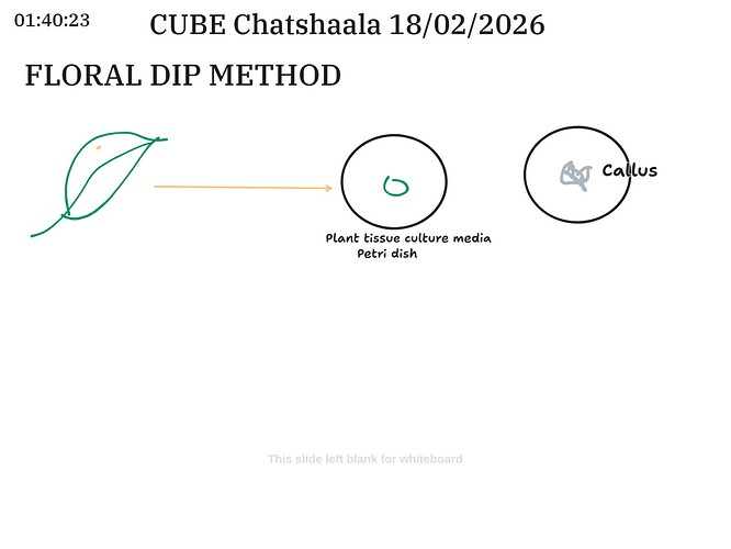 060a0fa9-926d-4b98-a41c-0c8a88f0de82