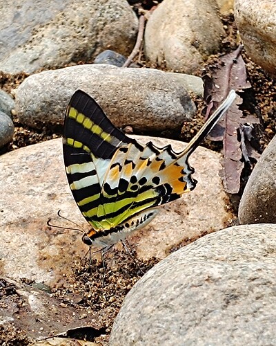 Picsart_26-03-08_17-37-42-973