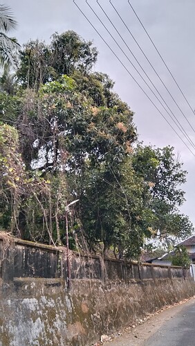 IMG-20250119-WA0022