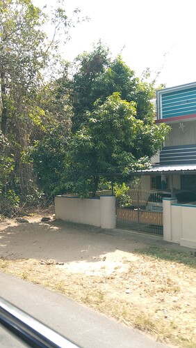 IMG-20250115-WA0079