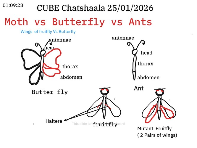 WhatsApp Image 2026-01-25 at 9.49.32 PM