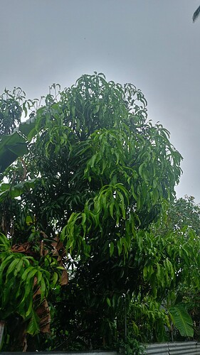 WhatsApp Image 2024-12-16 at 8.14.48 PM (2)