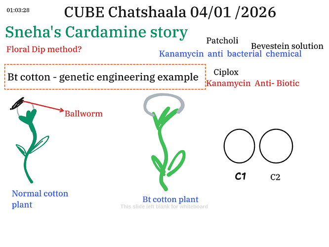 Presentation__2026-01-04T16_07_17.628Z