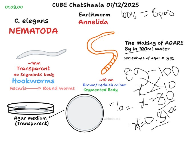 c28187ae-d941-4757-a384-1efa1ff0a9b6