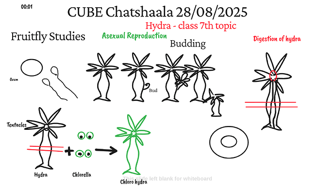 Presentation_CUBE chatShaala_2025-08-28T16_00_44.217Z