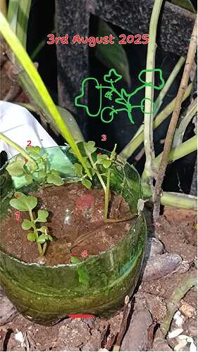 ba949a11-6c71-4b93-baac-7b56dd4af80e