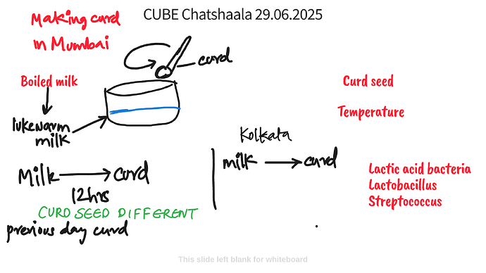 Presentation_CUBE chatShaala_2025-06-29T16_00_55.124Z