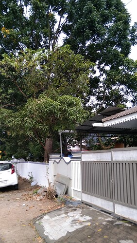 IMG-20250119-WA0026