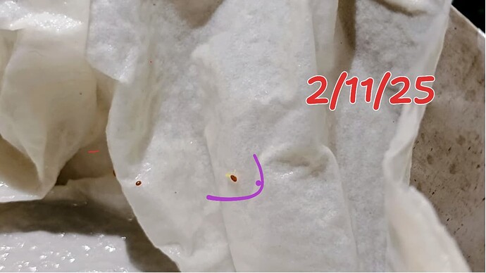 c6991bc8-2ed4-483b-8a93-169196d9a5f9