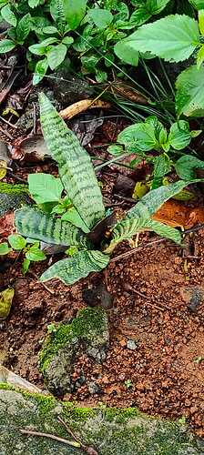 IMG-20250820-WA0022