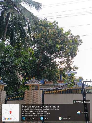 WhatsApp Image 2025-12-17 at 9.20.10 AM | 375x500