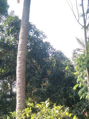 IMG-20250120-WA0025