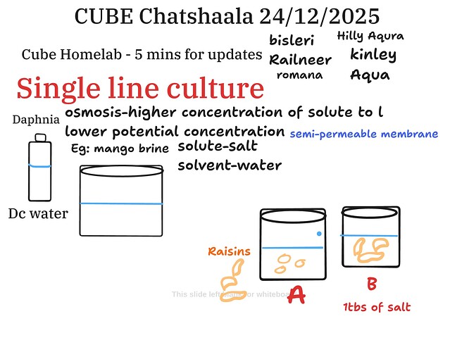 Presentation__2025-12-24T15_59_32.949Z